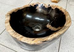 Contemporary Black Beige Petrified Wooden Sink Polished IDN 2025 - 4318011