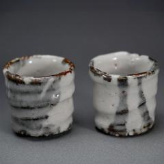 Contemporary Boxed Sake Set by Murakoshi Takuma - 4173998