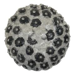Contemporary Clear and Black Flowers Murano Glass Flush Mount - 4302939