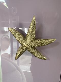 Contemporary Lacquered Brass Starfish and Rock Crystal Cabinet Italy - 3486829