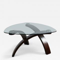 Contemporary Molded Wood And Glass Coffee Table - 3179284