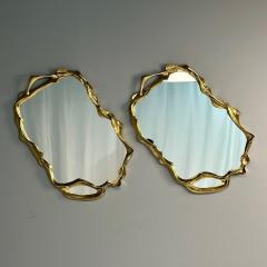 Contemporary Organic Modern Surrealist Bronze Wall Mirrors Free Form - 3795919