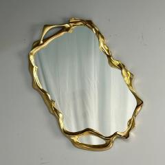 Contemporary Organic Modern Surrealist Bronze Wall Mirrors Free Form - 3795927