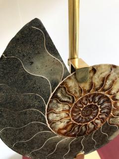 Contemporary Pair of Brass Lamps Ammonite Fossil Italy - 682289