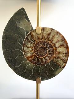 Contemporary Pair of Brass Lamps Ammonite Fossil Italy - 682292