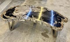 Contemporary Petrified Wood Coffee Table With Stainless Steel Feet 2023 - 3413568