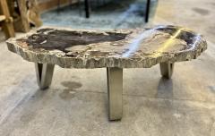 Contemporary Petrified Wood Coffee Table With Stainless Steel Feet 2023 - 3413573