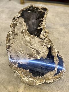 Contemporary Petrified Wood Coffee Table With Stainless Steel Feet 2023 - 3413575