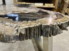 Contemporary Petrified Wood Coffee Table With Stainless Steel Feet 2023 - 3413577