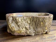 Contemporary Petrified Wood Sink in Beige Brown Yellow and Pink Tones 2024 - 3681030