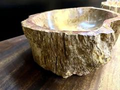 Contemporary Petrified Wood Sink in Beige Brown Yellow and Pink Tones 2024 - 3681031