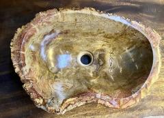 Contemporary Petrified Wood Sink in Beige Brown Yellow and Pink Tones 2024 - 3681036