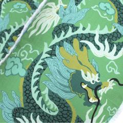 Contemporary Pillow Pair in Cotton and Green Dragon Print - 3648735