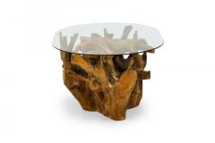Contemporary Rustic Tree Root and Clear Oval Glass Coffee Table - 4660658