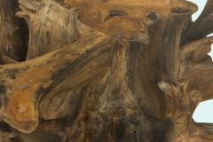 Contemporary Rustic Tree Root and Clear Oval Glass Coffee Table - 4660661