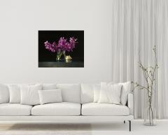 Contemporary Still Life Giclee by Dario Campanile - 2012280