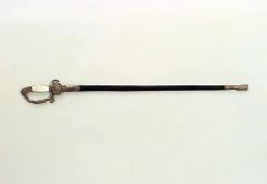 Continental Austrian Bronze Lion Head Sword with Scabbard - 4200396
