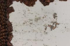 Continental Burl Root Mirror - 1399308