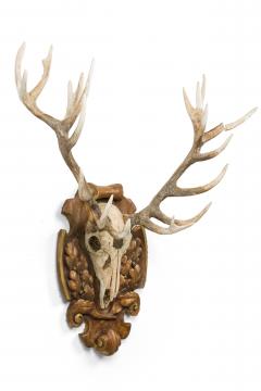 Continental Rustic Wall Plaque Featuring an Elk Skull with a Painted Insignia - 4658783