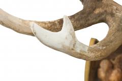 Continental Rustic Wall Plaque Featuring an Elk Skull with a Painted Insignia - 4658788