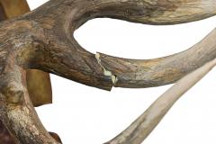 Continental Rustic Wall Plaque of Elk Head with Red Painted E on Curved Plaque - 4408008