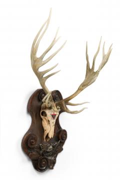 Continental Rustic Wall Plaque of Elk Skull with Cross Insignia Painted - 4407996