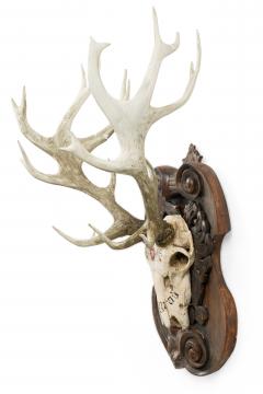 Continental Rustic wall plaque of a Elk skull with Red insignia - 4199951