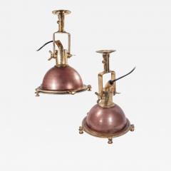 Copper Fox Lights - 1414363