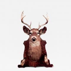 Country Taxidermy Dear Head Hatrack - 4692541
