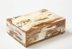 Cream Honey Colored Resin Box - 2159865