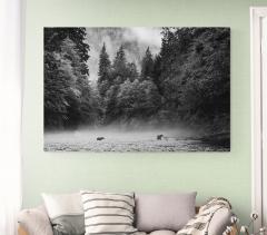 Cristina Mittermeier Bear Duet - 4492542