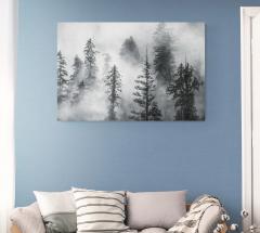 Cristina Mittermeier Foggy Trees 2 6  - 4123928