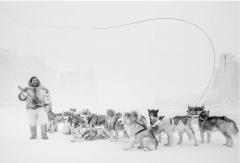 Cristina Mittermeier The Musher - 4492539