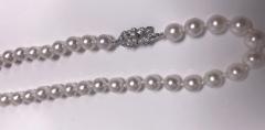 Cultured Pearl Necklace Platinum Diamond Clasp - 1192708