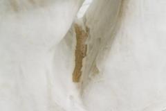 Curtis Fontaine Curtis Fontaine Untitled Vessel 22 USA 2022 - 4038545