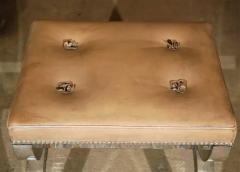 Cushioned Bench with Mirrored Glass Lion Paw Feet - 3213760