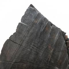 DAVID NASH Black and Crack Sheaves 1999 - 4029892