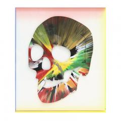Damien Hirst Skull Spin Painting 2009 Damien Hirst - 4418552