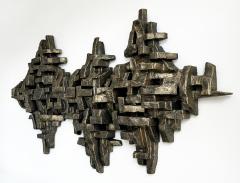 Dan Schneiger Crustacea III Abstract Wall Sculpture by Dan Schneiger - 3557563