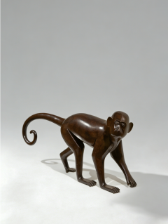 Daniel Daviau Capuchin Monkey Singe Sapajou 2026 - 4609307