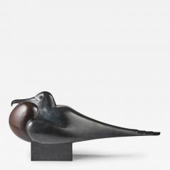 Daniel Daviau Frigatebird 2019 - 2908761