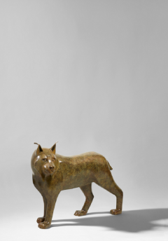 Daniel Daviau Lynx 2023 - 3398640