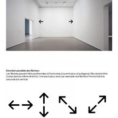 Daniel Firman DIMENSIONS VARIABLES - 604987