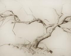 Daniel Garber Bare Tree - 74501