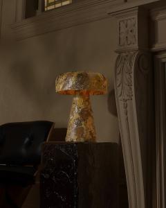 Daniel Shapiro Splat Lamp 11 - 4816748
