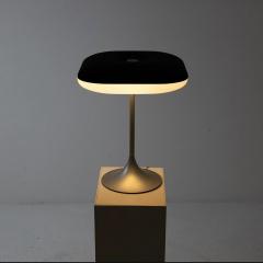 Daniela Puppa Rare Table Lamp Charms  - 4252268