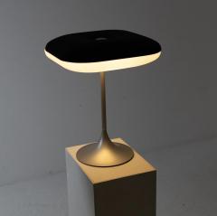 Daniela Puppa Rare Table Lamp Charms  - 4252271