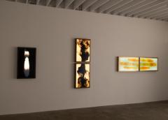 Daniele Albright Meltform 12 - 4223924