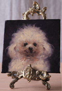 Darvish Fakhr Lufy 2025 - 4426719