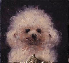 Darvish Fakhr Lufy 2025 - 4426972